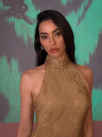 Adrianne ho leaked private photo uncensored HD quality