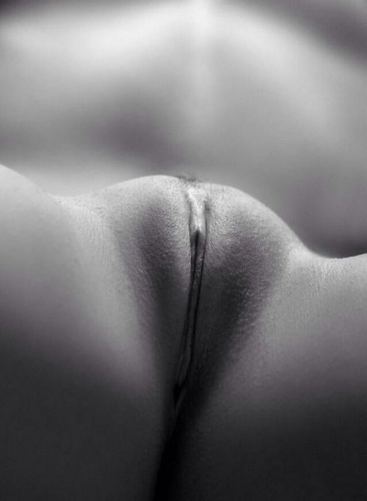 Shaved pubis close -up