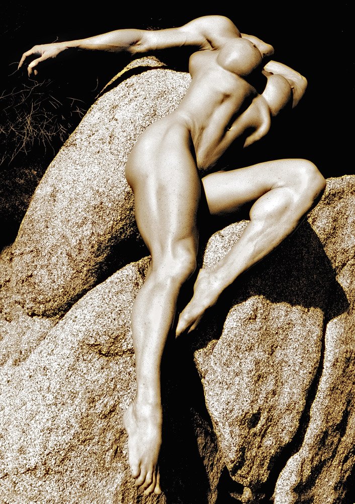 Muscular women nude art