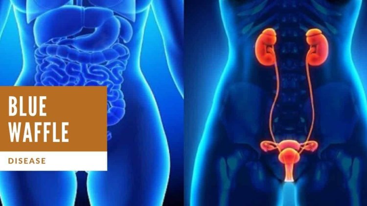 Blue Blue Waffles Waffley