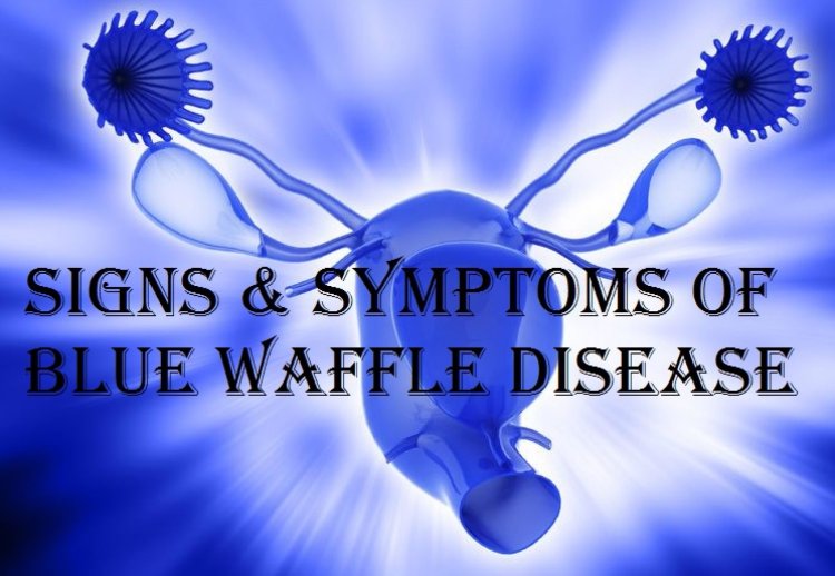 Blue Waffles Google