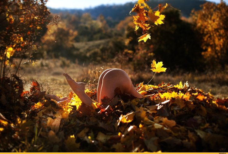 Artistic nude in nature