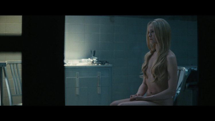 Evan Rachel Wood Naked