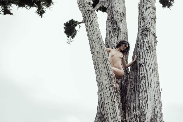 Kendall Jenner photo shoot nude