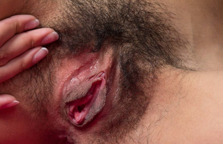 Hairy vagina is large