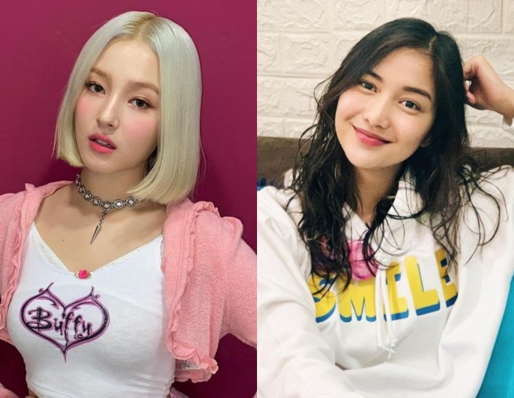 Nancy Momoland Plum 18