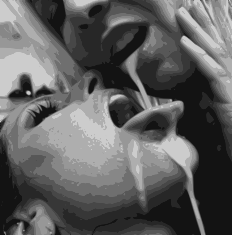 Lesbian much cum in mouth