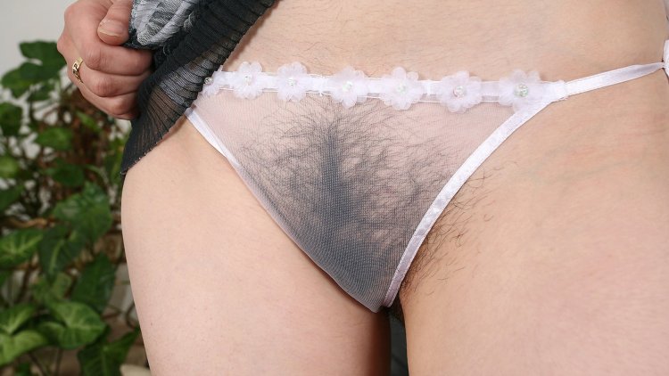 Hairy pussy in transparent panties