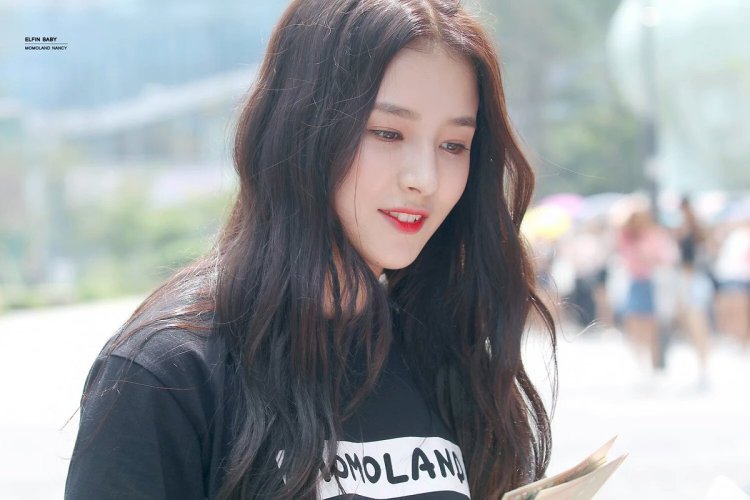 Nancy McDonie scandal