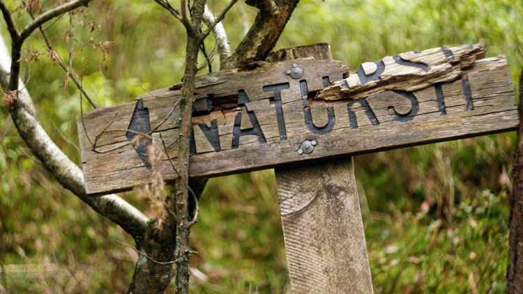 Naturist Freedom-Wood Fairies (Czech Republic)