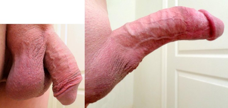 Beautiful shaved huge penis