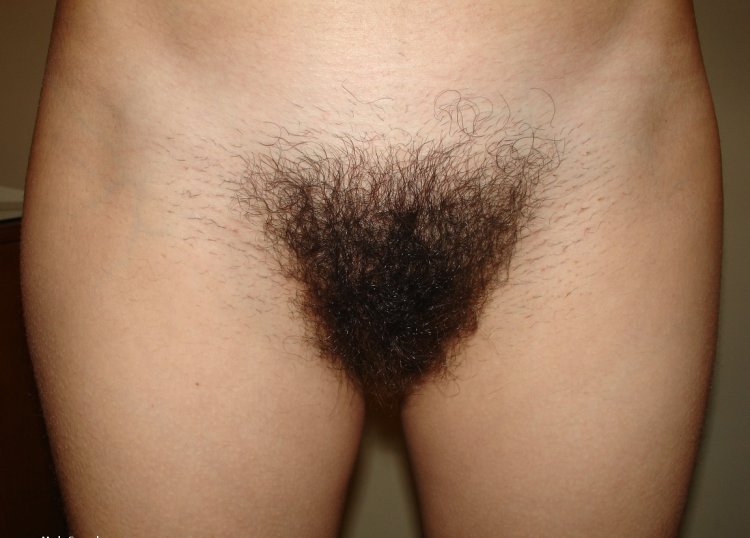 Hairy Triangle on the pubis