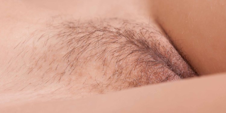 Female pubic hair