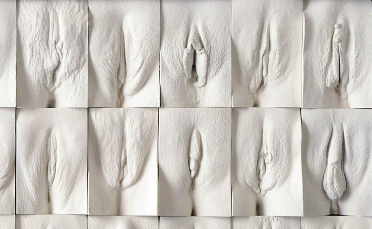 Classification of female vagina