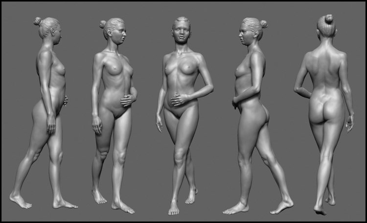 Modeling the female body