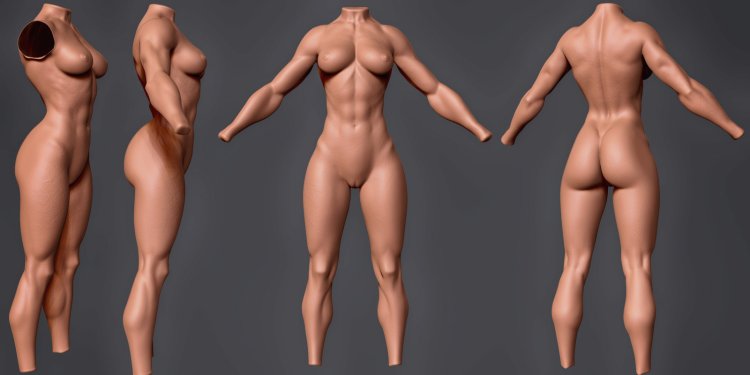 Dynamic anatomy nude