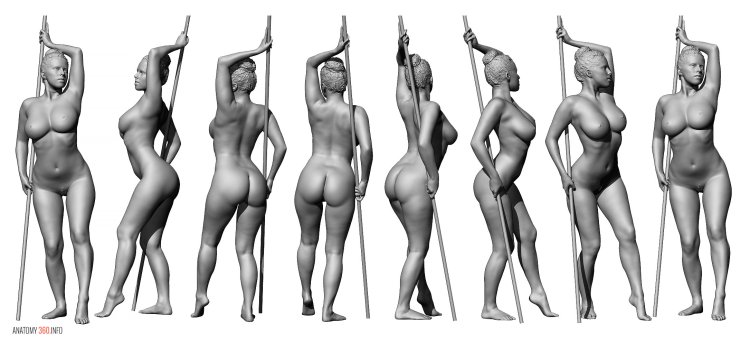 Dynamic anatomy nude
