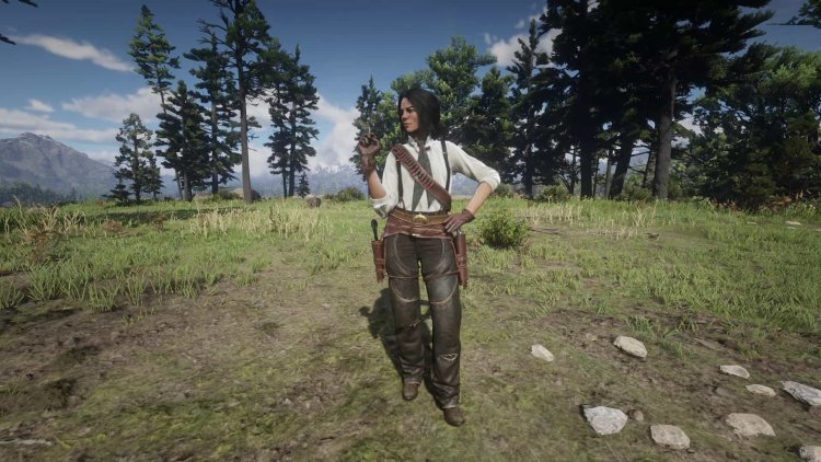 Red Dead Redemption 2 mods