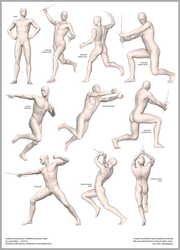 Nude PhotoGraphy Male and Female Reference