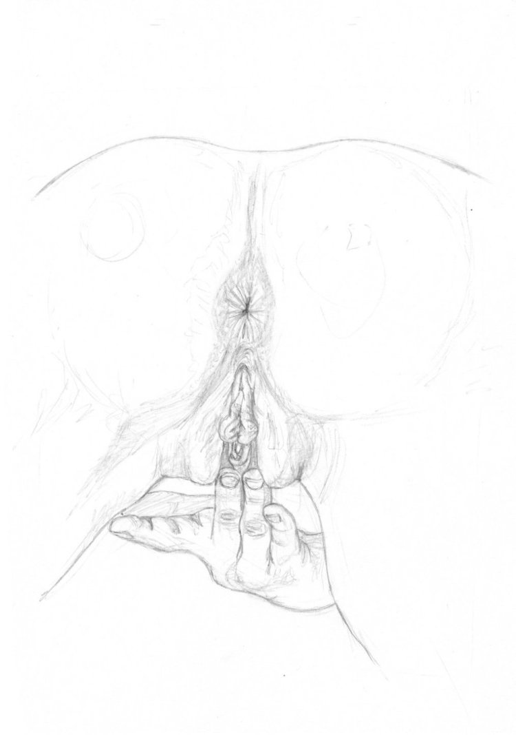 Beautiful pussy drawing