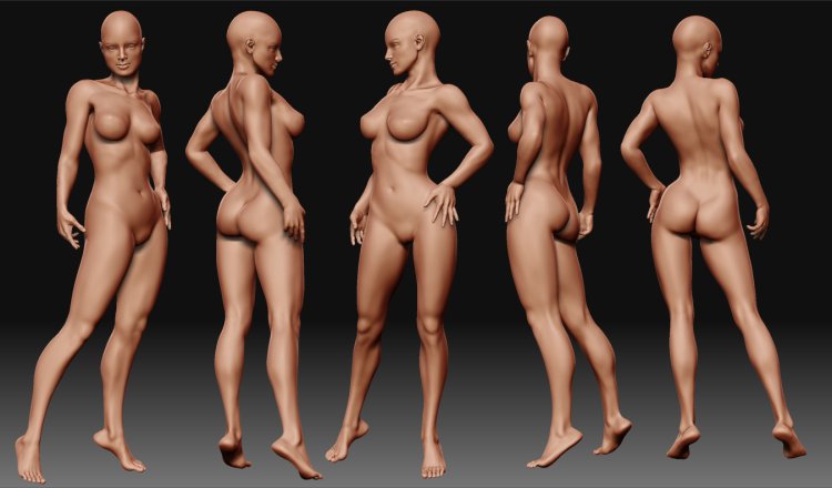 Pornography. Anatomy. Female. Bodies