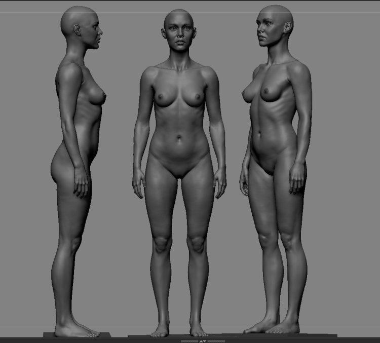 Naked female anatomy