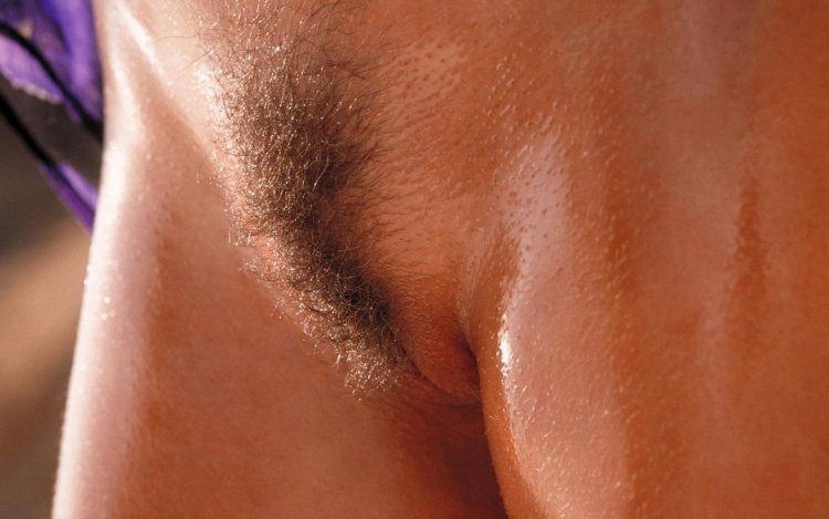 Gloval of female pubis