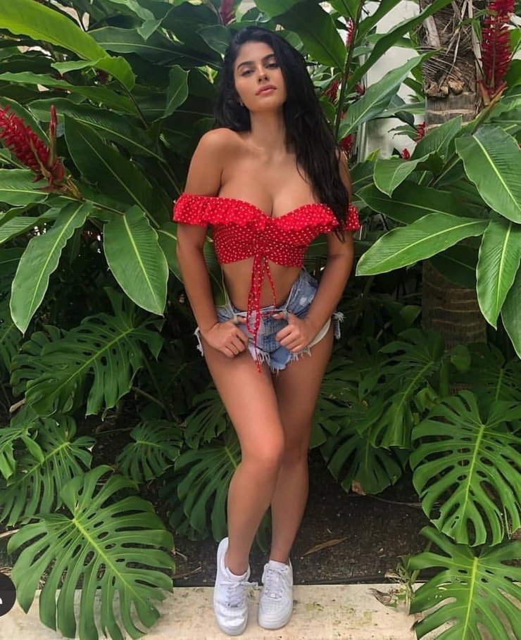 Amanda Trivizas stolen