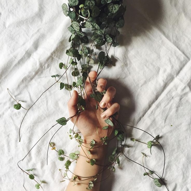 Wallpaper for a laptop minimalism tender