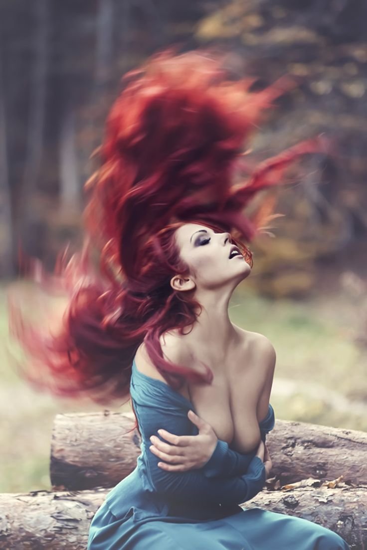 Beautiful red beasts