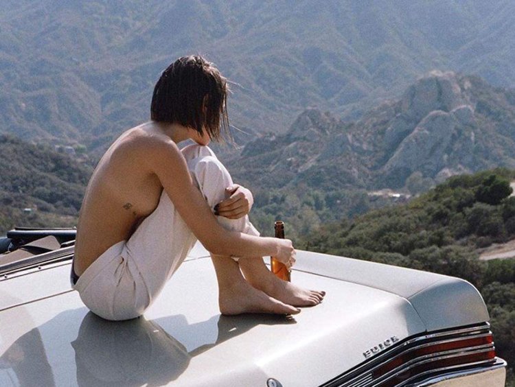 Willa Holland Pornography