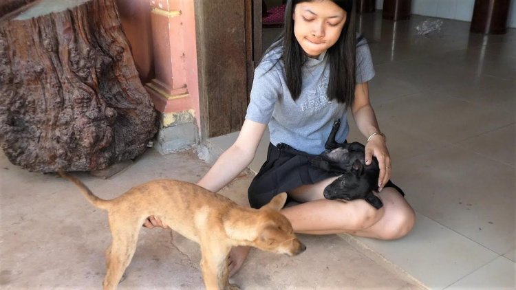 Veronica Silesto photo with a dog