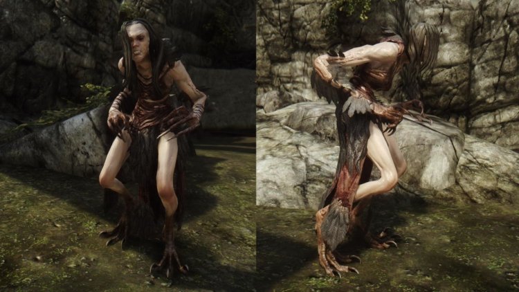 Skyrim Mod More Nasty Critters