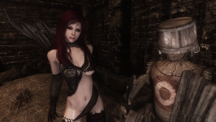 Skyrim - Companion Vermith