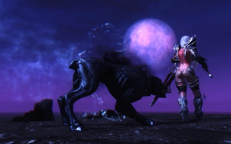 Skyrim Wear and Tear