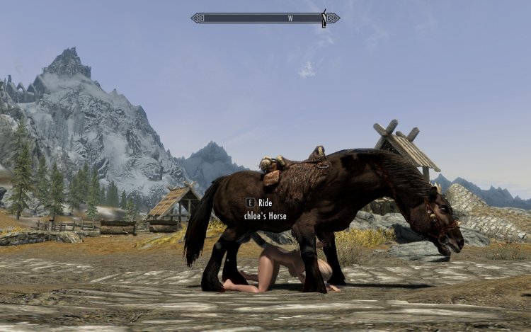 Skyrim amputor