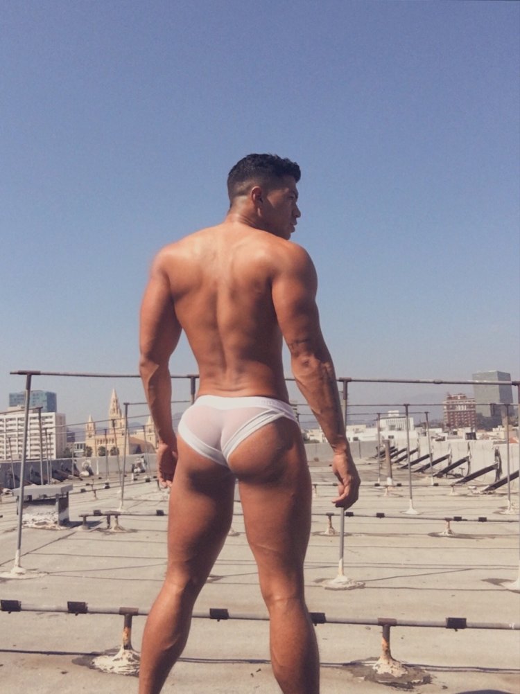 Naked chubby hairy men