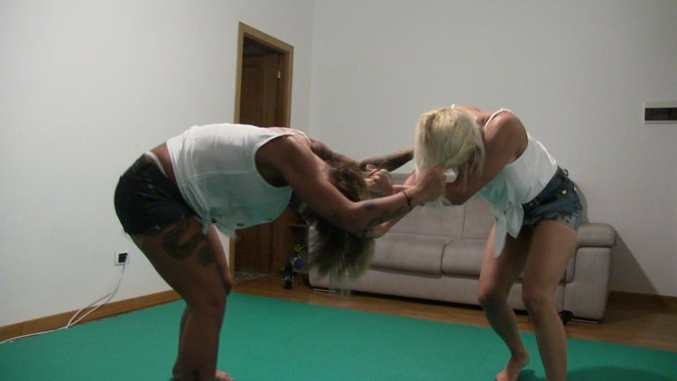 Fight of women in the office