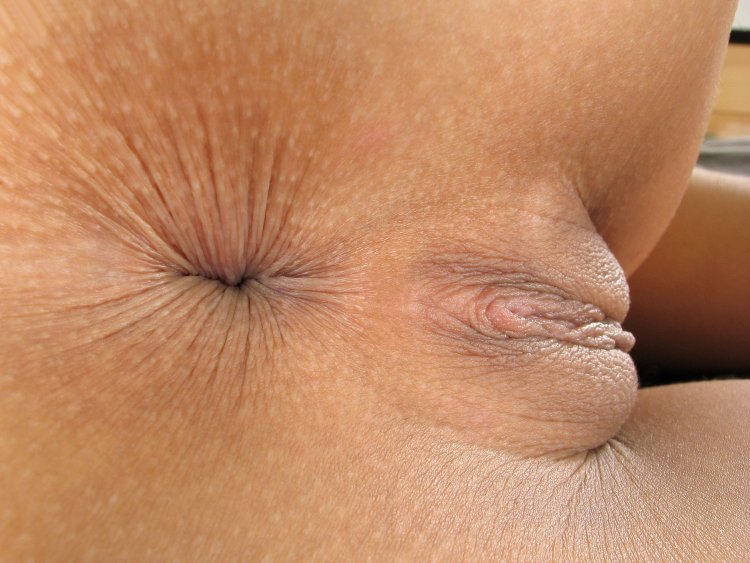 Women's anus close -up