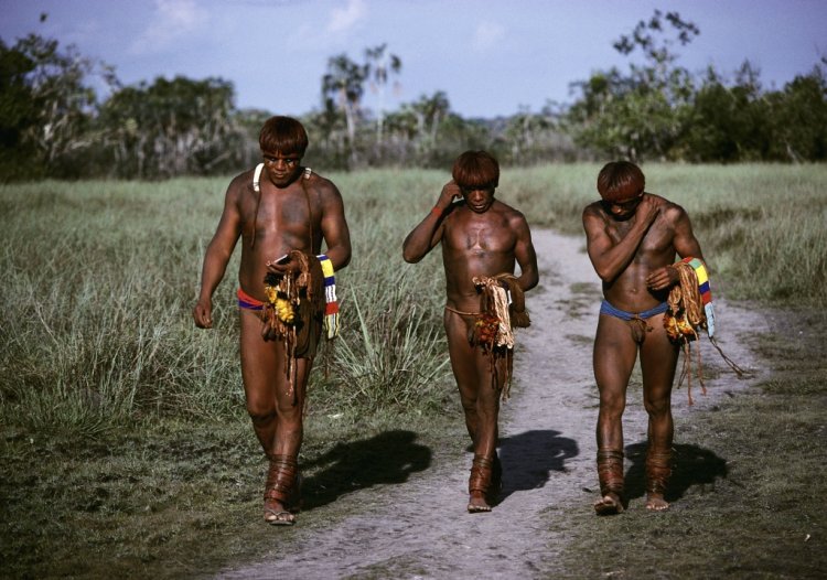 Naked women Indians Xingu