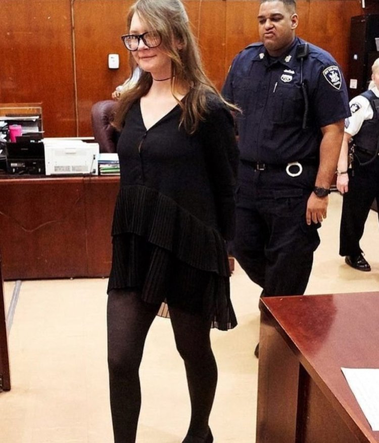 Anna Delvey Court Fashion