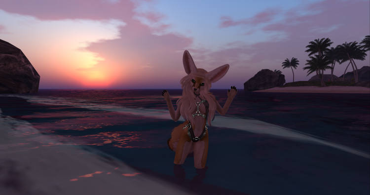 Sweety Fox in the sea resort