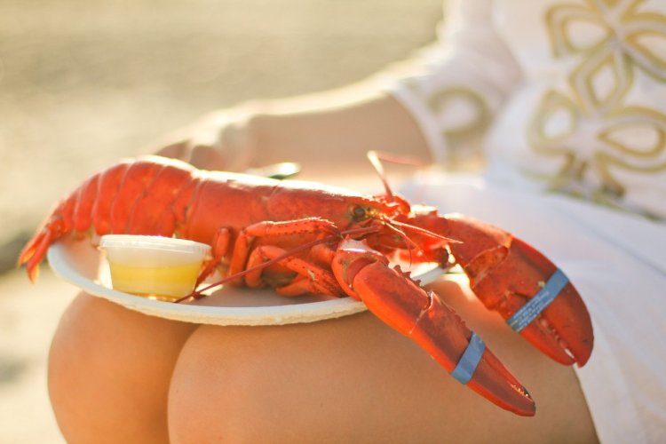 Zhanna Pavlova (Zhanna Pavlova)