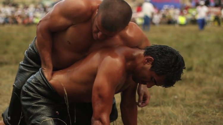 Girl vs Guy Fight MP4