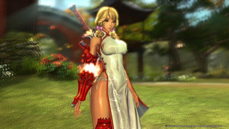 Blade and Soul Castamization