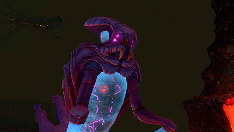 Crab octopus sabnatic