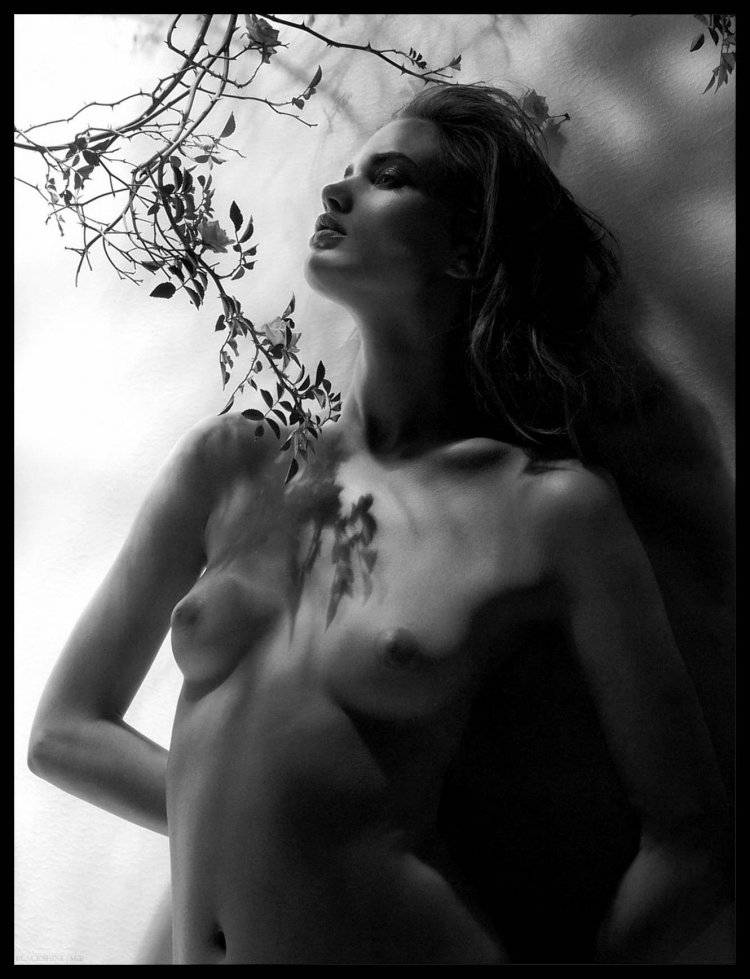 Natalia Vodianova Sexy