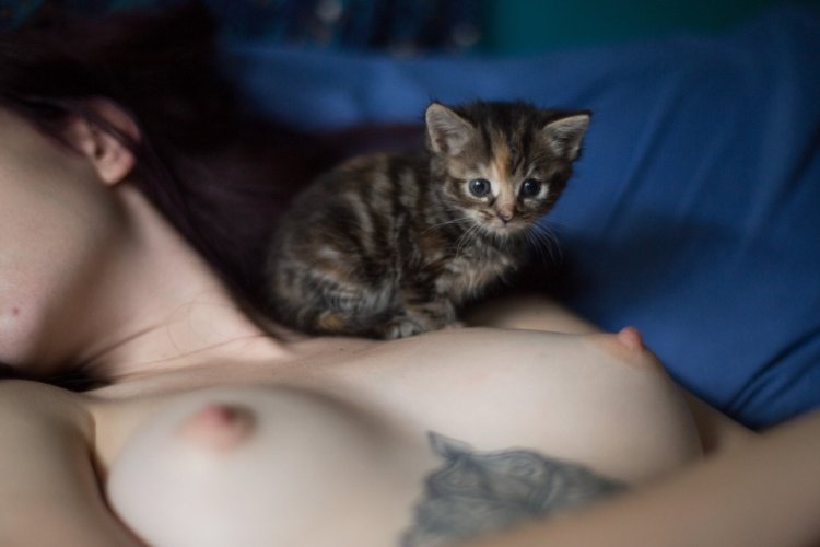 Kitten on boobs girl