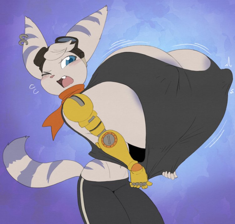 Renamon Expansion Inflation