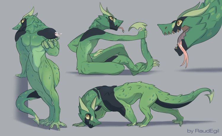 Lizard Furri Reference